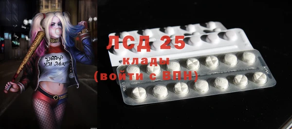 эйфоретик Баксан