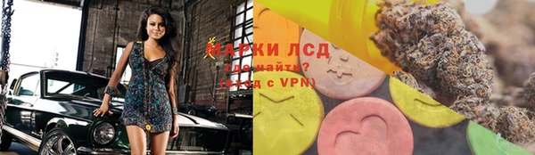 эйфоретик Баксан