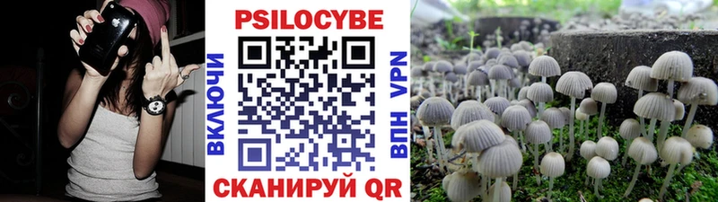 Галлюциногенные грибы ЛСД Семилуки
